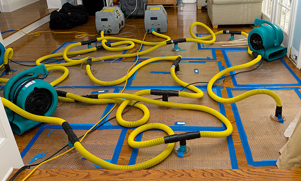 Professional Crawl Space Water Removal technician working in Fyffe, AL